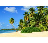 Photo Wall Mural-SAND PALM-(053)-NON WOVEN-Wallpaper-Sun Beach Panorama Deco XXL