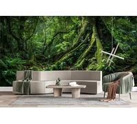 Photo Wallpape Non-Woven Deep Forest 3D Wall Mural Decoration Poste Jungle Nature Wall Mural Decoration Poste Premium Wallpaper Wall Art for Living Room Bedroom W366xH254 16yf333