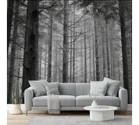 Photo Wallpaper 157.5" x 110.2" Non-Woven Premium Art Print Fleece Wall Mural Decoration Poster Picture Design Modern Forest Fog Artistic Conception Moderne Living Room Bedroom Black White