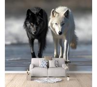 Photo Wallpaper 250 x 175 cm / 98.4" x 68.9" - Non-Woven Wall Mural Wolf Art Print Fleece Wall Mural Decoration Poster Picture Design Modern - Beach Black and White Animal Wolf J-F-01269-C-7
