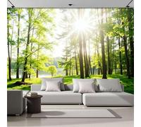 Photo Wallpaper 3D Effect Panoramic Mural Fresh And Natural Style Sunlight Filtering Through The Trees for Living Room Adult Children Home Decoration Wall Poster - Silk 400x280cm Wall Mural Green