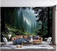 Photo Wallpaper 3D Effect Panoramic Mural Natural Scenery Rainbow In The Forest After The Rain for Living Room Adult Children Bedroom Home Decoration Wall Poster - Silk 200x140cm Wall Mural Dark Green