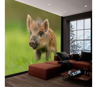 Photo Wallpaper 3D Effect Panoramic Mural Wild Animals Wild Boar Grassland Green Wall Mural 400x280 cm for Living Room Bedroom Home Decoration, Non-Woven Wall Poster Adult Children