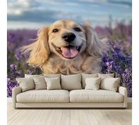 Photo Wallpaper Animal Theme Golden Retriever Lavender Manor Non-Woven Art Print Wall Mural Decoration Poster Picture Design Modern 3D Effect, for Cafe Restaurant Theme Hotel 300 (W) x 210 (H) cm