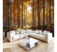 Photo Wallpaper Aspen Birch Forest Non-Woven Matt Paste the Wall Mural