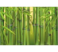 Photo Wallpaper Bamboo 3D Effect Green Woodland Wall Mural Decoration Poster Picture Modern Design 150x105 cm Murals Wall Art for Living Room Bedroom Kitchen a-8113