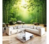 Photo Wallpaper Bamboo Forest 350x256 cm Non-Woven Wall Mural 3D Zen Stone Wallpaper Murals for Living Room,Bedroom,Kids Room,Office,TV Background Home Decor R1228
