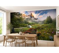 Photo Wallpaper bedroom living room wall mural in giant size 12x8 feet +adhesive