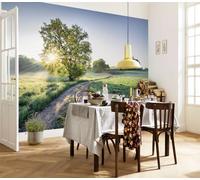 Photo Wallpaper bedroom living room wall mural in giant size 12x8 feet +adhesive