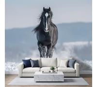 Photo Wallpaper Black Horse Snowy Plains 500x350 cm Non-Woven Premium Art | Print Fleece Wall Mural Decoration Poster Picture, Winter Galloping Horses Wallpaper for Bedroom Living Room Background