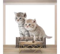 Photo Wallpaper Cat 3D Effect Cute Pets Wall Mural Decoration Poster Picture Modern Design 250x175 cm Murals Wall Art for Living Room Bedroom Kitchen a-3491