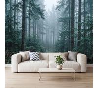 Photo Wallpaper Coniferous Forest Fir Tree Fog, 300x210 cm | Non-Woven Premium Nature Landscape Forest, for Living Room Bedroom Kitchen Office Kids