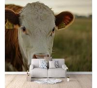 Photo Wallpaper Cow Meadow 250x175 cm 3D Printed Animal Wall Paper Non-Woven Fabric No Adhesive Backing Mural Wall Easy to Install Clean for Dining Room Interiors Poster Bedroom Accessories