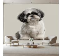Photo Wallpaper Cute Shih Tzu (White) 250x175cm(W x H) Non-Woven Art Print Wall Mural Decoration Pet Dog Poster Picture Design Modern Living Room Kitchen Bedroom Wall Mural