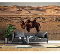 Photo Wallpaper Desert Camels 350x256 cm Non-Woven Wall Mural 3D Nature Scenery Wallpaper Murals for Living Room,Bedroom,Kids Room,Office,TV Background Home Decor R-460