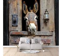 Photo Wallpaper Donkey Window 250x175 cm 3D Printed Animal Wall Paper Non-Woven Fabric No Adhesive Backing Mural Wall Easy to Install Clean for Dining Room Interiors Poster Bedroom Accessories