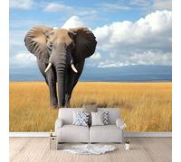 Photo Wallpaper Elephant 200 x 200 cm / 78.7" x 78.7" - Non-Woven Premium Art Print Fleece Wall Mural Decoration Poster Picture Design Modern - Natural Scenery Animals Elephants G-B-1367-Y-C