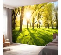 Photo Wallpaper for Living Room Home Decor, Nature Morning Sun Trees Print Non-Woven Mural 150 x 105 cm (W x H) - Green Murals Wall Wallpaper Art Design for Kids Bedroom