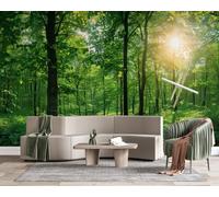 Photo Wallpaper Forest Tree Non-Woven Matt Paste the Wall Mural | Wipeable Panoramic Mural Wallpaper Nature Landscape Waterproof Wall Art 200x140 cm for Living Room Bedroom Kid Room z1023