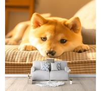 Photo Wallpaper Japanese Shiba Inu 3D Effect Cute Dogs Wall Mural Decoration Poster Picture Modern Design 200x140 cm Murals Wall Art for Living Room Bedroom Kitchen a-6490