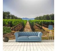 Photo Wallpaper Mural 3D Summer Vineyard Landscape 416(W) X254(H) Cm 3D Effect Peel and Stick Living Room Office Bedroom Bedroom Children's Room Dining Room Corridor Wall Poster Wall A-519151