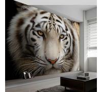Photo Wallpaper Nature Photography Wall Murals for Bedrooms 450 x 280 cm, Non-Woven Fabric Animals White Tiger Portrait Wallpaper Living Room Office Corridor Decoration Murals Modern Wall Decoration