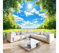 Photo Wallpaper Park Sky Summer Wall Mural 3D Wall Mural Decoration Poster Premium Non-Woven Wallpaper Wall Art for Living Room Bedroom Children's Room Office W300xH210cm 1yf158