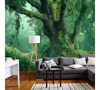 Photo wallpaper primeval forest - XXL, ancient trees moss landscape 3D effect, green for living room bedroom non-woven wallpaper wall mural, 350cm x 256cm stickers - frameless painting - poster