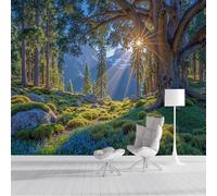 Photo Wallpaper Sunlight Filtering Through The Forest Wall Murals Poster, 200x140cm Realistic Natural Landscape Panoramic Mural, Green Home Decoration Wall Mural for Living Room Bedroom Corridor