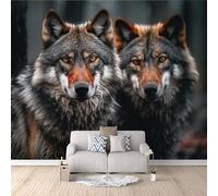 Photo Wallpaper Wolf 200 x 200 cm / 78.7" x 78.7" - Non-Woven Premium Art Print Fleece Wall Mural Decoration Poster Picture Design Modern - Forest Wild Animal Wolf G-B-1367-Y-C
