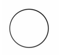 Photograph Diving o-Ring Oring Ikelite 0132.45 Replacement for Compact Housing