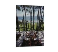 Photographer Slim AaronsCanvas Wall Art, Aesthetic Poster Print for Bedroom & Home Decor, Modern Painting08x12inch(20x30cm)