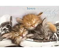 Photographic Greeting Card (ABA5932) Birthday - Sleeping Siberian Kittens