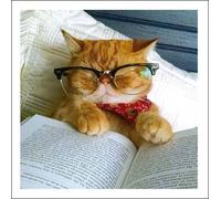 Photographic Greeting Card (WDM1343) Blank/Birthday - Bookworm - Cattitude