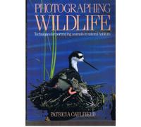 Photographing Wild Life