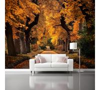 Photography Autumn Landscape Leaves Path Wall Mural Wallpaper, Non Self Adhesive Paste The Wall Mural for Living Room Bedroom, Orange Black High Definition Art Wall Decor - 250 x 175 cm (W x H)