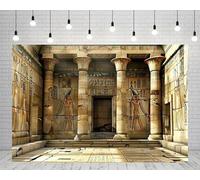 Photography Backdrop Egyptian Temple Ancient Egypt Mysterious Hieroglyphic Carvings Wall For Bedroom Dorm Home Decor Background 300x200cm