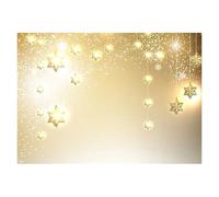 Photography Backdrop Silver Glitter Sparkle Bokeh Photo Background Vinyl Backdrop for Shimmer Shine Party Photocall Photography Prop(FD-6379,220cmX150cm)