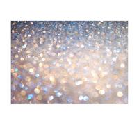 Photography Backdrop Silver Glitter Sparkle Bokeh Photo Background Vinyl Backdrop for Shimmer Shine Party Photocall Photography Prop(FD-3838,60cmX40cm)