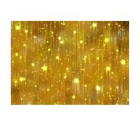 Photography Backdrop Silver Glitter Sparkle Bokeh Photo Background Vinyl Backdrop for Shimmer Shine Party Photocall Photography Prop(FD-6353,150cmX100cm)