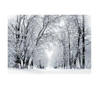 Photography Backdrop Silver Glitter Sparkle Bokeh Photo Background Vinyl Backdrop for Shimmer Shine Party Photocall Photography Prop(FD-5887,60cmX40cm)