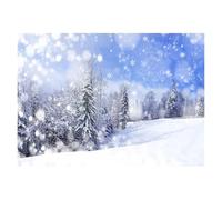 Photography Backdrop Silver Glitter Sparkle Bokeh Photo Background Vinyl Backdrop for Shimmer Shine Party Photocall Photography Prop(FD-5893,300cmX200cm)