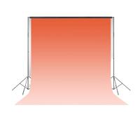 Photography Backdrop Solid Color Photography Background Gradient Backdrop for Adult Portrait Photographic Studio Photo(Color 2,ThinVinyl 240x300cm)