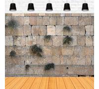 Photography Backdrop Western Wall Ancient Jerusalem Brick For Jerusalem Wailing Wall Poster Background Banner 440x300CM