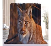 Photography Nature Printed Warm Flannel Throw Blanket 127 x 152 cm, Cat Wilderness Super Soft Lightweight Blanketss for Sofa Bed Armchair, Yellow Cosy Decorative Blanket for Bedroom Living Room Travel