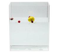 Photography Shallow Water Tank, Shallow Sink Photo Studio Kit Tabletop Shooting Props Coffee Tray Desktop Cosmetics Storage(100x60x5cm/39.4x23.6x2in)