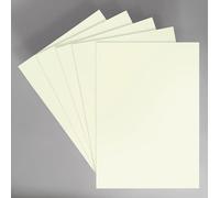 Photoluminescent Sign 5 Pack 20x29cm Phosphorescent Foil Glow in the Dark for Decoration and Safety Signage (5u-29x20)
