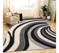 PHP Area Rugs for Indoor - Beautiful Soft Pile Washable Distressed Runners for Living Room Bedroom Dining Room TV Lounge Floor Carpet Mat(120 x 170 cm, Waves Dance)