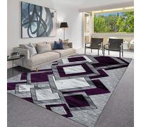 PHP Modern Rugs for Living Room Dining Rooms Bedrooms and Office Carpet Floor Rug - Super Soft Abstract Design High Weight Thick Carpet Rugs - Purple, 120 x 170cm