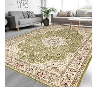 PHP Roma Traditional Rug - Super Soft Classical Floral Pattern Heavy Weight Non Slip Area Rugs for Living Room Bedroom Dining Room Tv Lounge Carpet (200 X 290 cm, Green)